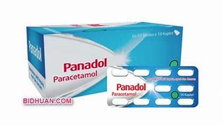 Panadol Biru Golongan Obat Apa